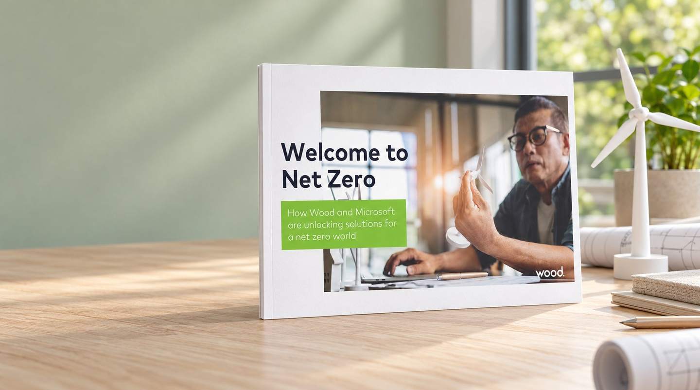 Wood net zero guide